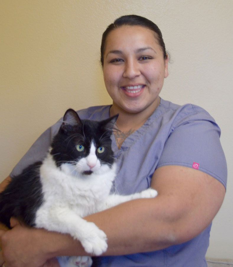 The Cat Doctor Veterinarian in Ventura, CA US Our Staff
